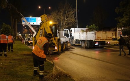 Antalya Büyükşehir Belediyesi’nden gece budama çalışması