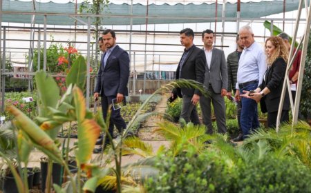 Alanya Belediyesi bitki üretiminde yüzde 50 tasarruf sağlandı