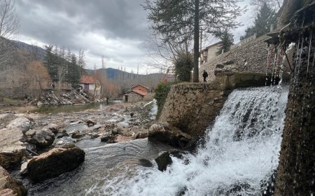 Akseki’de alabalık tesisi kurulacak