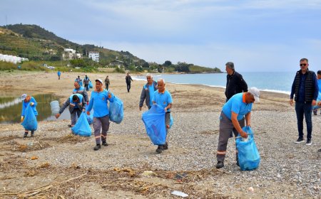 Alanya’da Kum Zambaklarına ve Carettalara Temiz Destek
