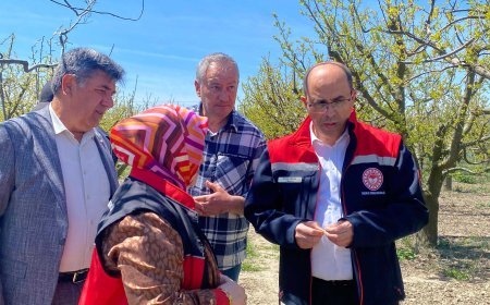 Antalya’da zirai don hasar tespiti yapıldı