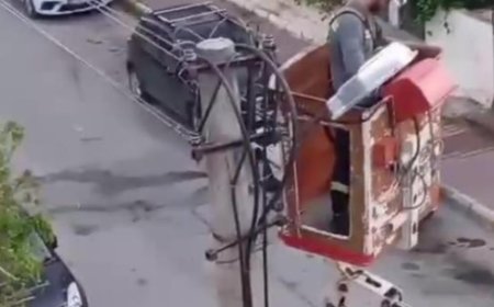 Antalya’da Elektrik Tellerinden  Kurtarılan Kumru Yeniden Doğaya Bırakıldı.