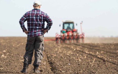 Çiftçiye Don Desteği: Sigortalıya Tazminat, Sigortasızlara Bakanlık Yardımı