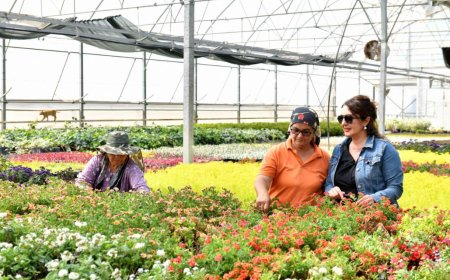 Antalya’da Muratpaşa Belediyesi’nin bu yıl ilkini düzenleyeceği Çiçek Desenleri Günleri, 8-10 Mayıs’ta gerçekleşecek