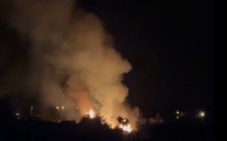 Antalya'da Yıldırımla Yanan Ağaç, Dolu ile Söndü! Tarımda Büyük Zarar.