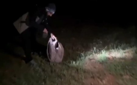 Döşemealtı’nda Yaban Keçisi Avlayan 2 Kişiye Rekor Ceza