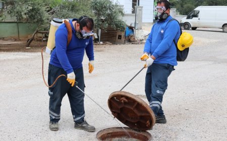 Büyükşehir Belediyesi vektörel mücadele ekipleri iş başında
