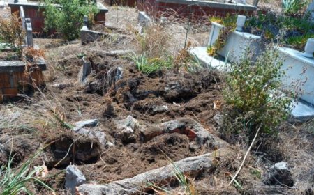 Antalya'nın Serik ilçesinde yaban domuzları mezarlara zarar verdi.