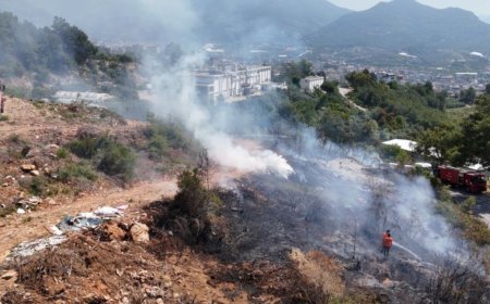 Alanya'da makilik alandaki yangın ormana sıçramadan söndürüldü