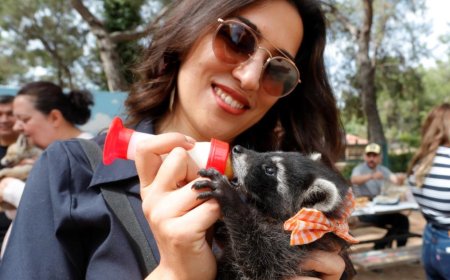 Antalya’da Anneleri Olmayan Hayvanlara Duygusal Dokunuş