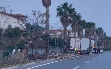 Gazipaşa’da Tır Kazası: Refüjdeki Palmiyeye Çarpan Araç Sürüklendi