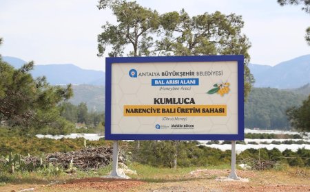 Antalya'da Arıcılar İçin Güvenli Üretim: Bahçelere Uyarı Tabelaları Yerleştiriliyor