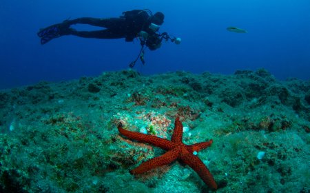 Kemer’de 24. Uluslararası Sualtı Günleri İçin Geri Sayım Başladı