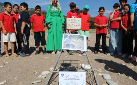 Kaplumbağalar Kumsala Döndü: Çıralı’da Koruma Yasakları Devrede