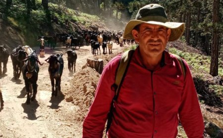 Kültür Yaşıyor: Gazipaşa’da Yayla Göçü Devam Ediyor