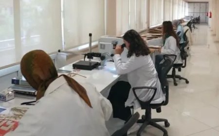 Bakan Işıkhan’dan İŞKUR Gençlik Programı Hakkında Açıklama