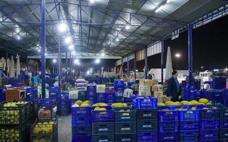 Fırsatçılara geçit yok! Hal Yasası yolda .