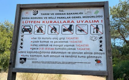 Geceleri Kumsallara Girmek Yasak! Kaplumbağalar İçin Sessizlik Başladı