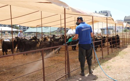 Antalya Büyükşehir Belediyesi’nden Kurban Bayramı Öncesi Hijyen Seferberliği.
