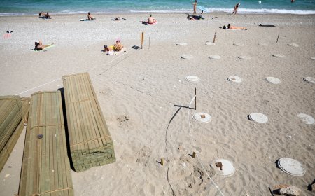 Antalya'nın Kalbinde Yuva Kurdular: Konyaaltı’nda Caretta Caretta Sevinci