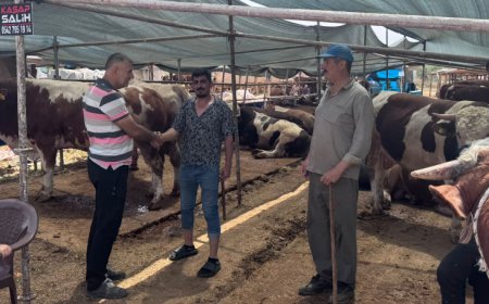 Antalya’da Kurban Bayramı Öncesi Kurbanlık Pazarlığı Kızıştı