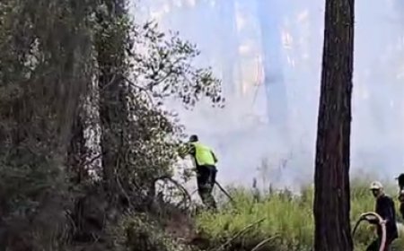 Antalya’nın Kumluca ilçesinde ormanlık alanda yangın çıktı.