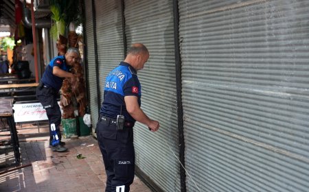 Alanya'da Sağlıksız Şekilde Taşınan Midyeler İmha Edildi