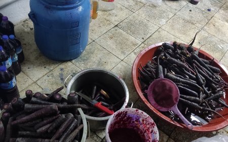 Alanya'da Hijyen Skandalı: Ruhsatsız Şalgam Atölyesi Mühürlendi