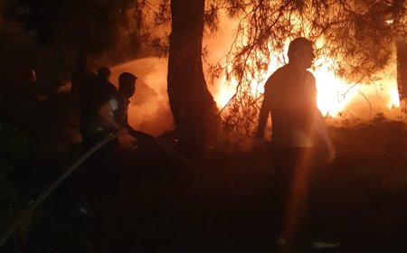 Manavgat’ta Isınmak İçin Yakılan Ateş Ormanı Alevlendirdi