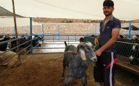 Bayram Öncesi Alanya’da Kurban Pazarı Canlandı