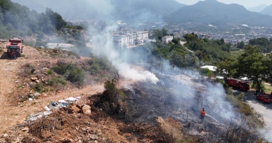 Alanya'da makilik alandaki yangın ormana sıçramadan söndürüldü
