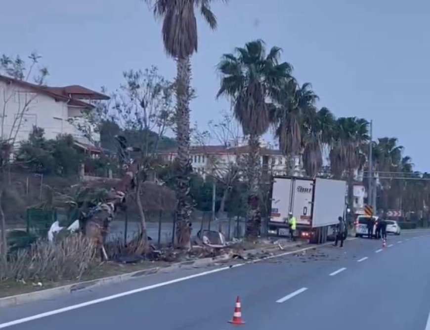 Gazipaşa’da Tır Kazası: Refüjdeki Palmiyeye Çarpan Araç Sürüklendi