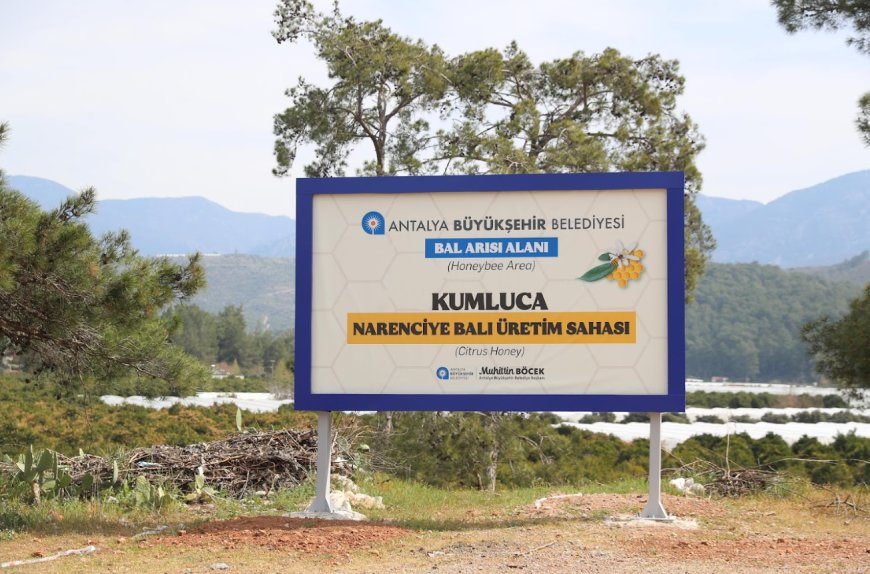 Antalya'da Arıcılar İçin Güvenli Üretim: Bahçelere Uyarı Tabelaları Yerleştiriliyor