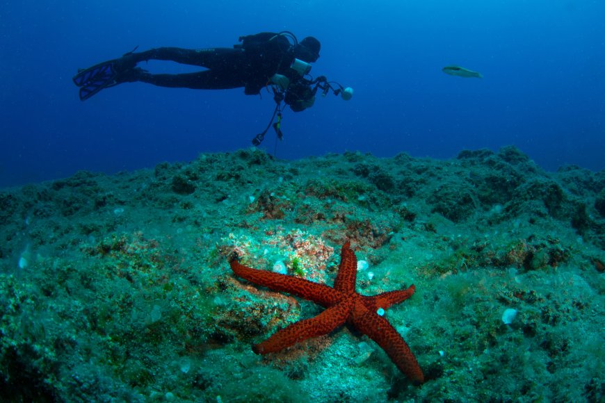 Kemer’de 24. Uluslararası Sualtı Günleri İçin Geri Sayım Başladı