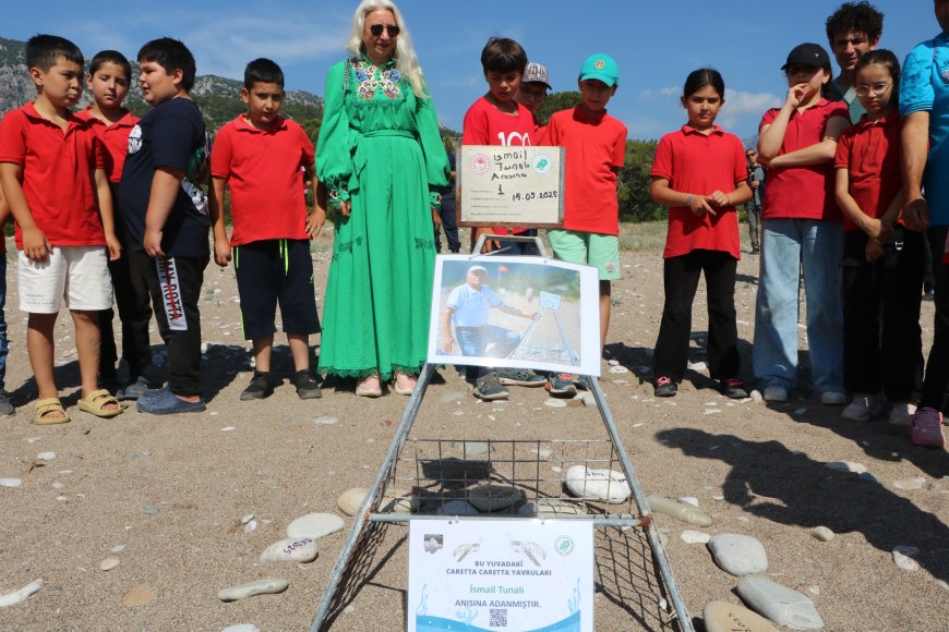 Kaplumbağalar Kumsala Döndü: Çıralı’da Koruma Yasakları Devrede