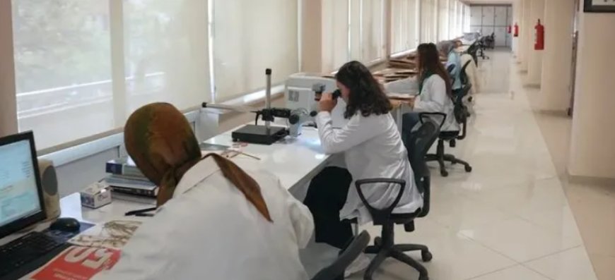 Bakan Işıkhan’dan İŞKUR Gençlik Programı Hakkında Açıklama
