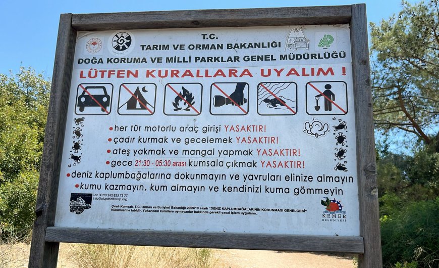 Geceleri Kumsallara Girmek Yasak! Kaplumbağalar İçin Sessizlik Başladı