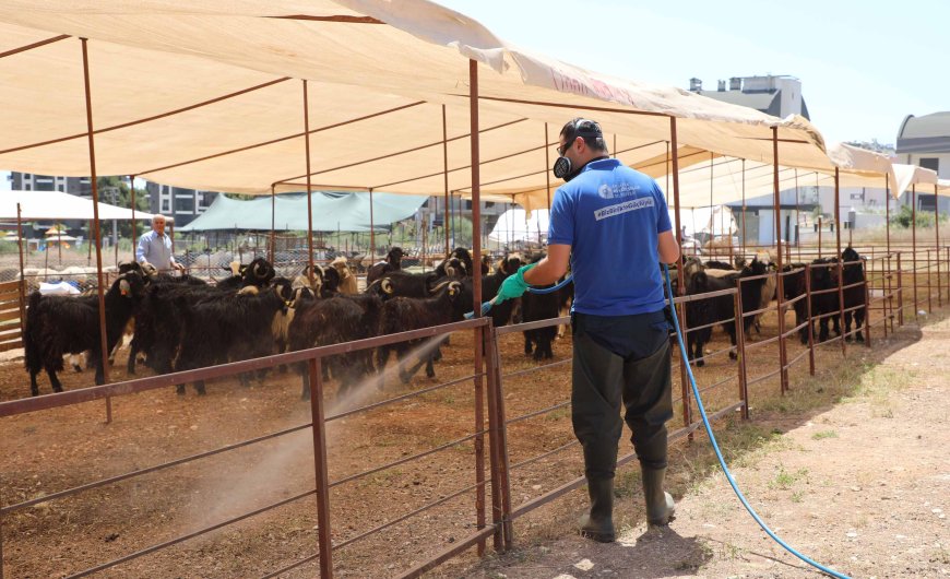 Antalya Büyükşehir Belediyesi’nden Kurban Bayramı Öncesi Hijyen Seferberliği.