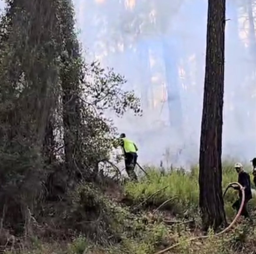Antalya’nın Kumluca ilçesinde ormanlık alanda yangın çıktı.