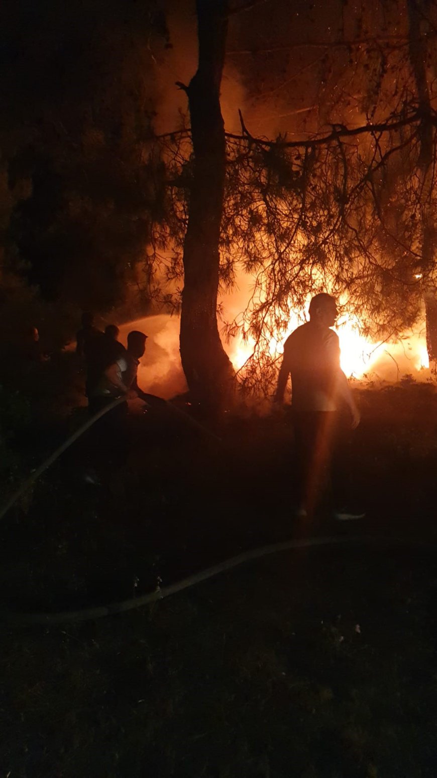 Manavgat’ta Isınmak İçin Yakılan Ateş Ormanı Alevlendirdi