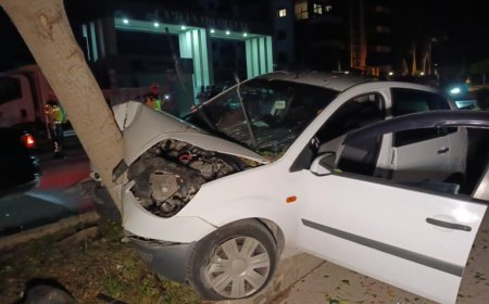 Manavgat’ta Refüjdeki Ağaca Çarpan Otomobil Sürücüsü Yaralandı