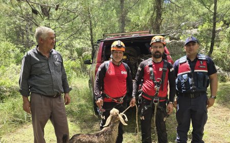 Manavgat’ta Kaybolan Keçi 15 Metrelik Mağaradan Çıkarıldı.