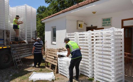 Antalya'da Yerelden Kalkınma Projesiyle İpek Üretimi Canlanıyor