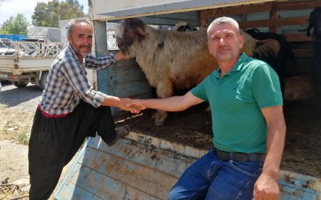 Gazipaşa Kurban Pazarında Alıcı da Satıcı da Memnun