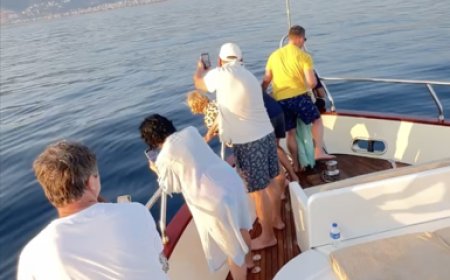 Alanya’da Tekne Turu Sırasında Yunus Sürprizi