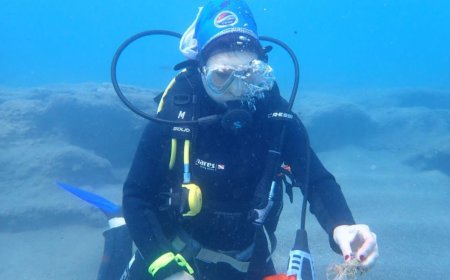 Gazipaşa’da Örnek Çevre Hareketi: Carettaların Yuvaları Koruma Altında