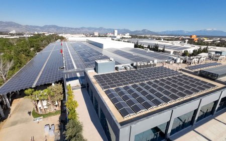 ANTALYA Organize Sanayi Bölgesi'nde (OSB), 'Çatılara Özgürlük' projesi