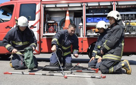 Antalya'da Sıcaklarla Birlikte Hayvan Kurtarma Vakaları Arttı