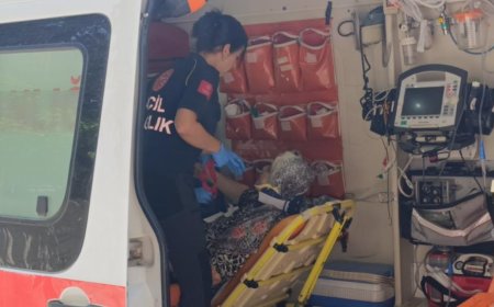 Yaya Geçidinde Kamyonetin Çarptığı Yaşlı Kadın Hastaneye Kaldırıldı