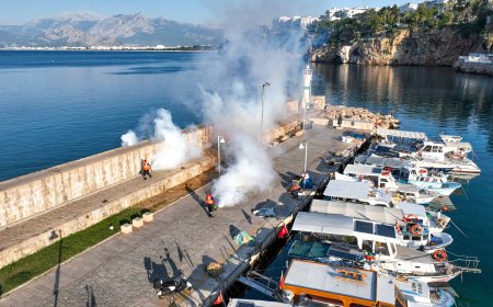Antalya Büyükşehir Belediyesi , Vektörle Mücadelede Kara ve Denizden Seferberlik Başlattı